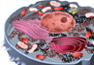 Biologie